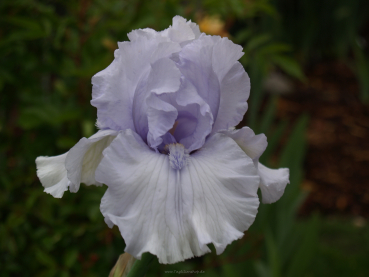 After the Rain